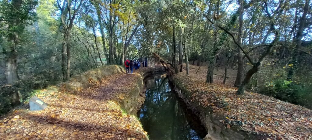 Navarcles - Sallent