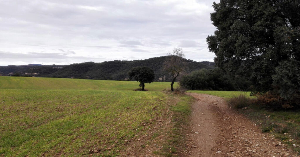 Montserrat - Castellgalí