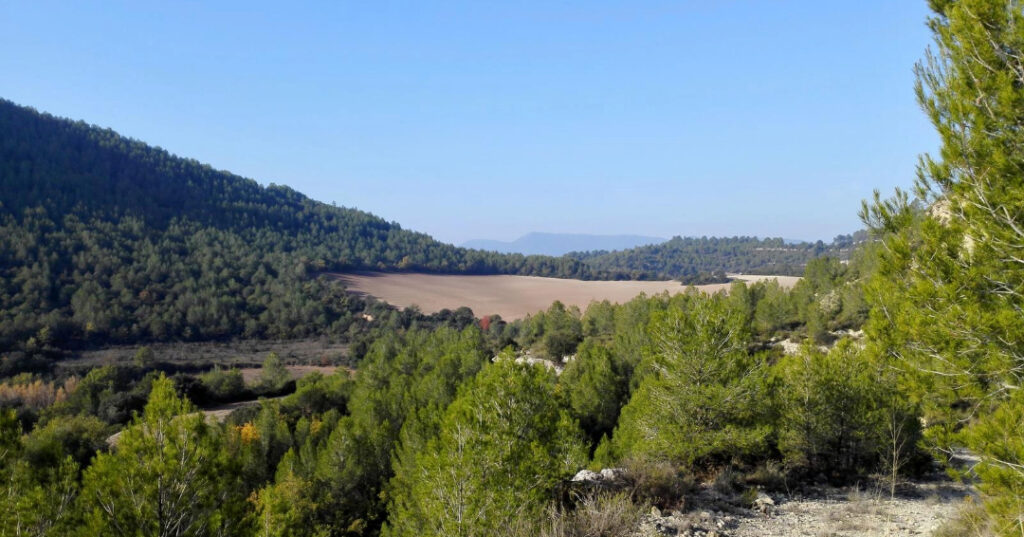 Castellgalí - Manresa