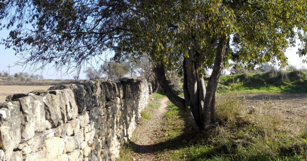 Castellgalí - Manresa