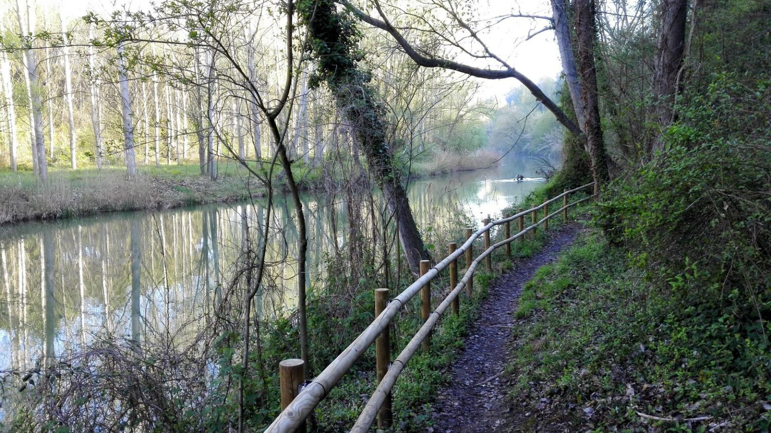 Navàs-Puig-reig