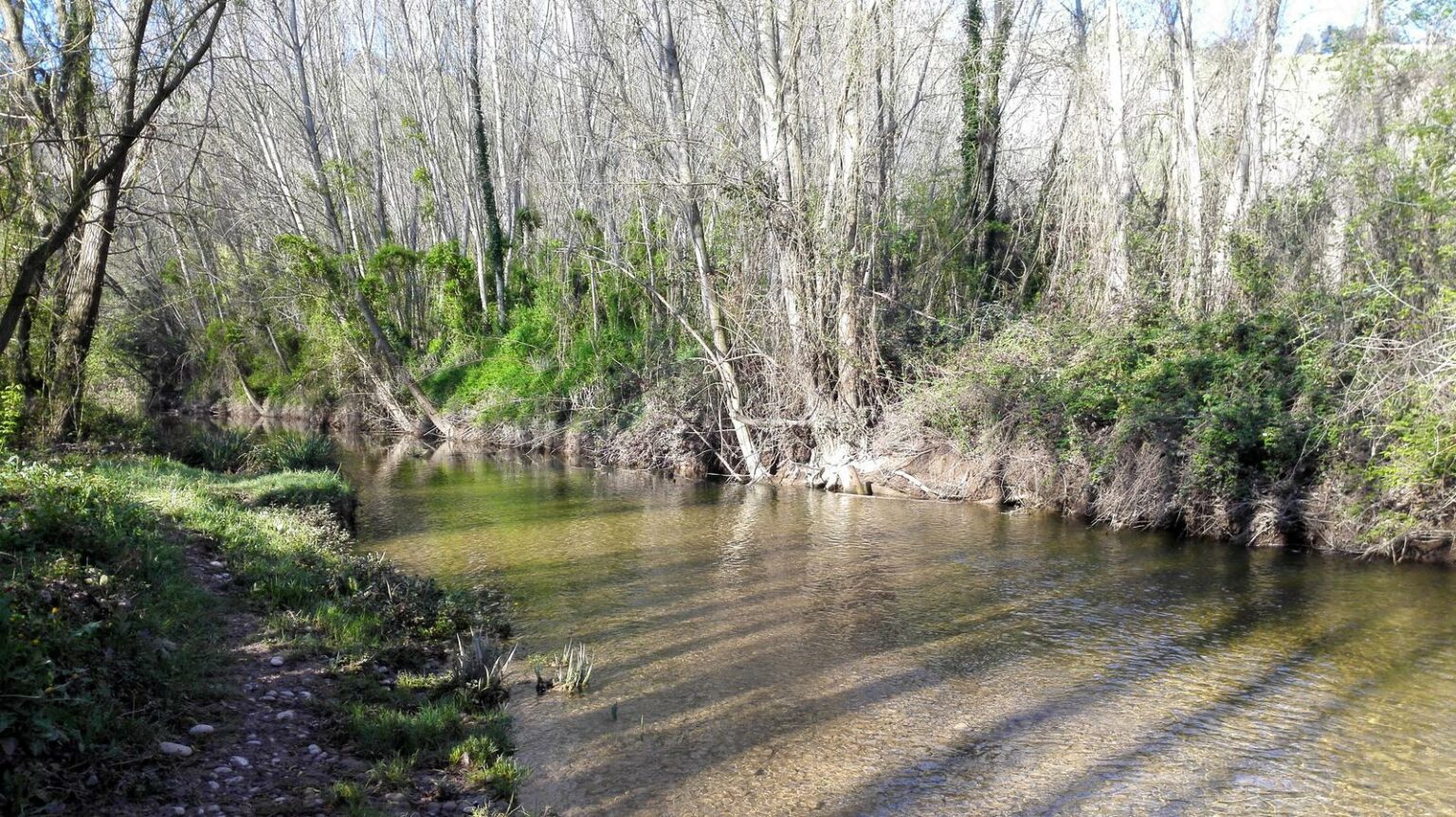 Navàs-Puig-reig