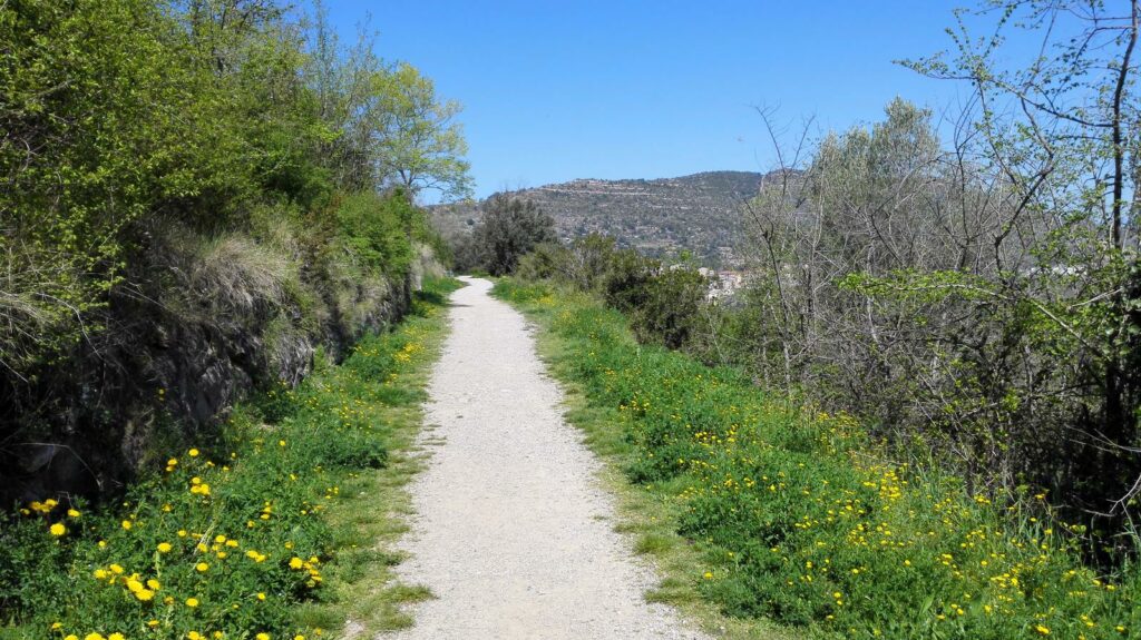 Navàs - Puig-reig