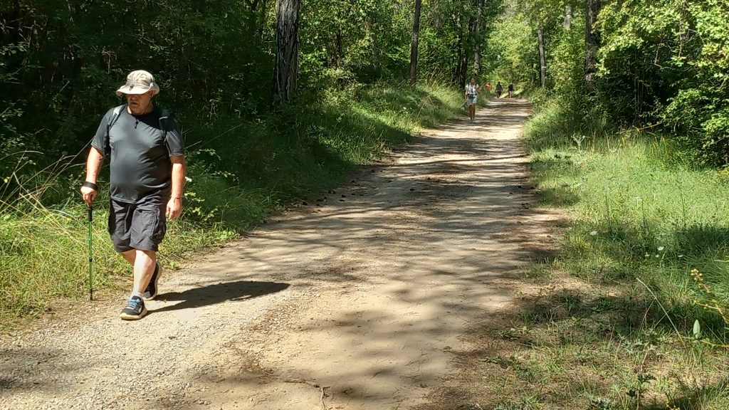 Puig-reig - Santa Maria de Merlès