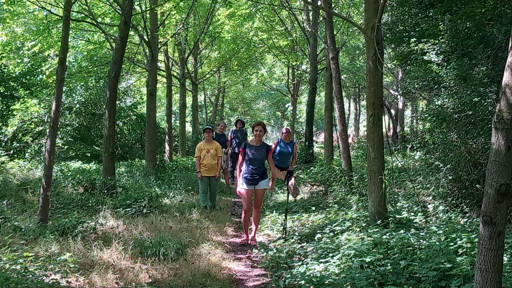 Puig-reig - Santa Maria de Merlès