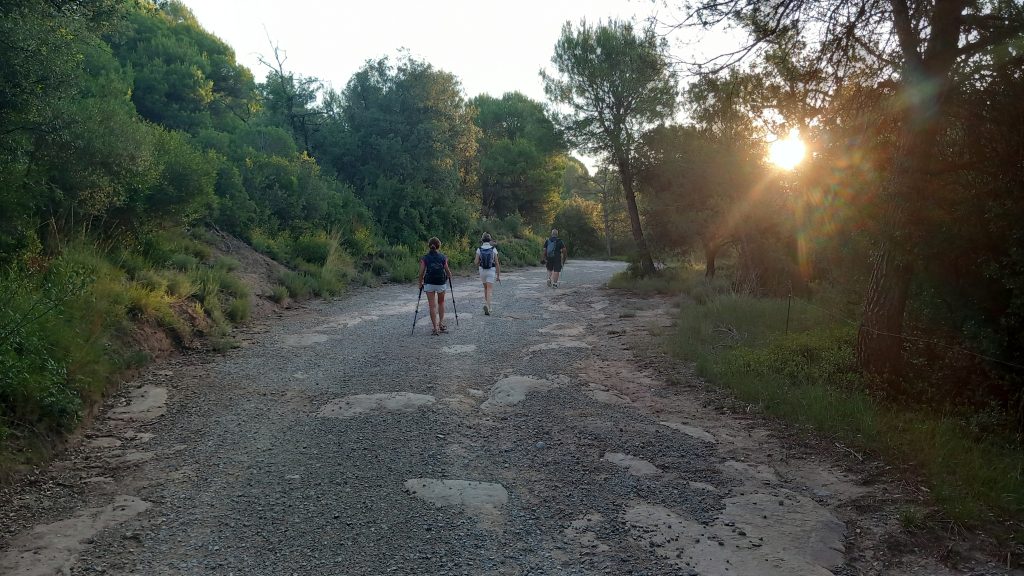 Puig-reig - Santa Maria de Merlès