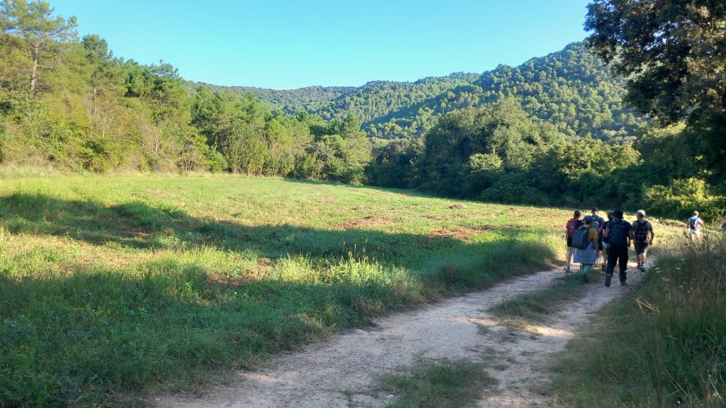 Puig-reig - Santa Maria de Merlès