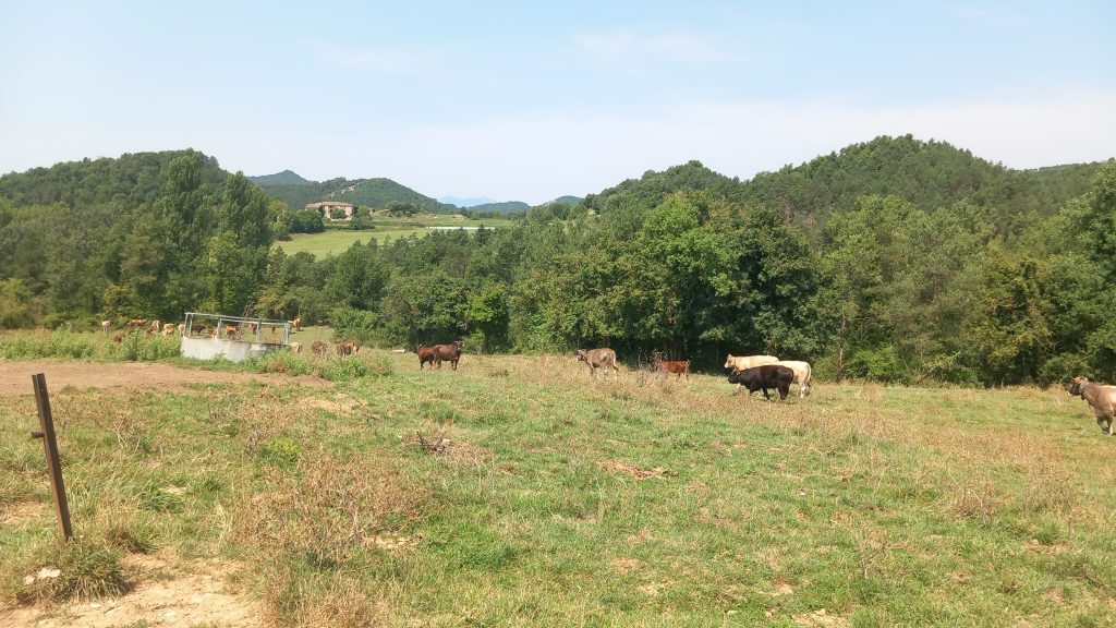 Santa Maria de Merlès - Salselles - Puigcercós