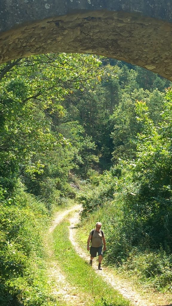 Santa Maria de Merlès - Salselles - Puigcercós