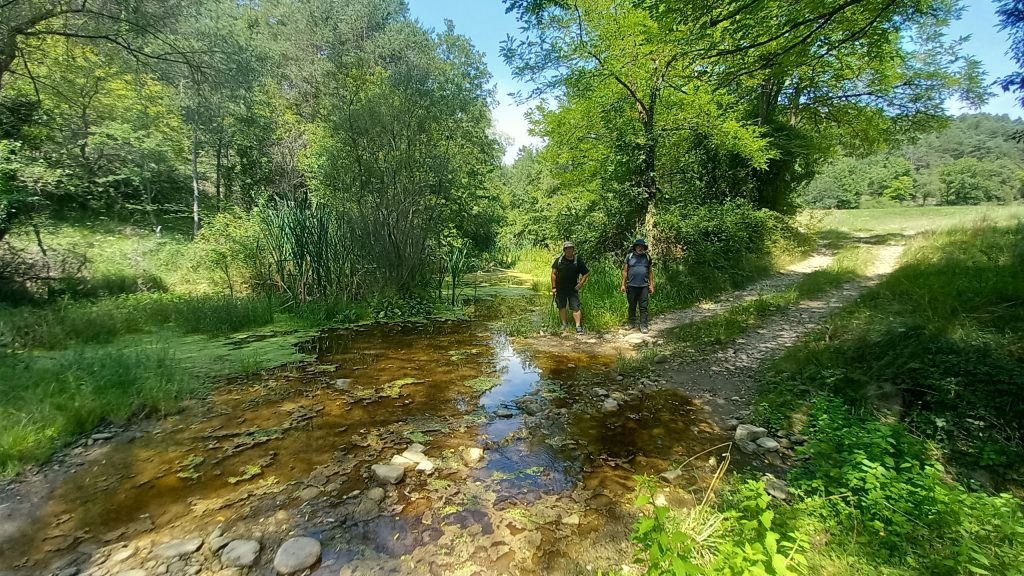 Santa Maria de Merlès - Salselles - Puigcercós