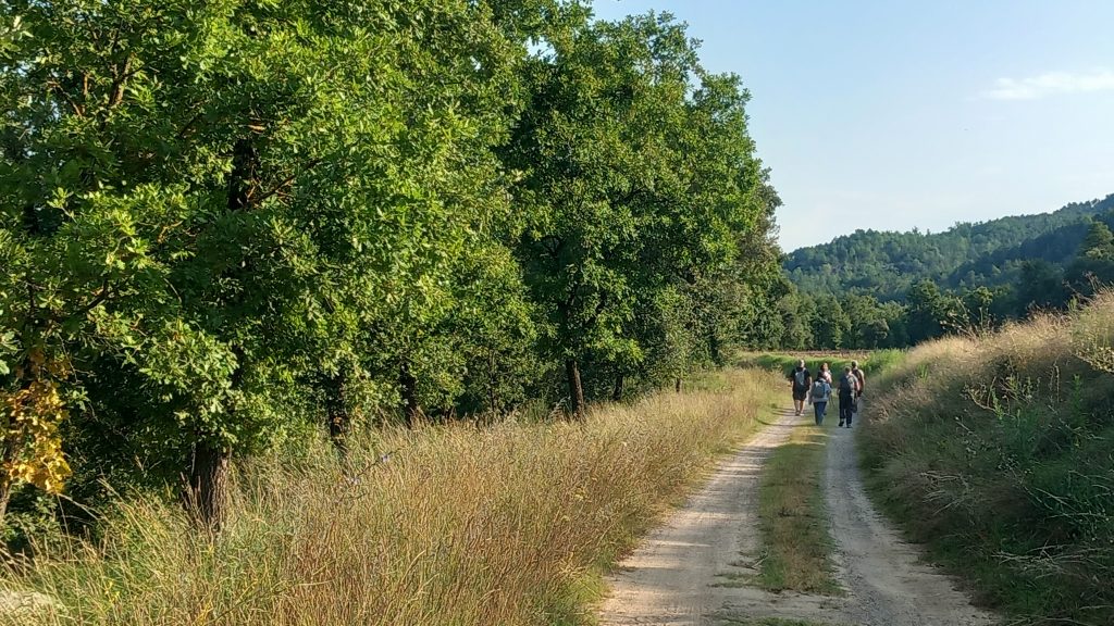 Santa Maria de Merlès - Salselles - Puigcercós