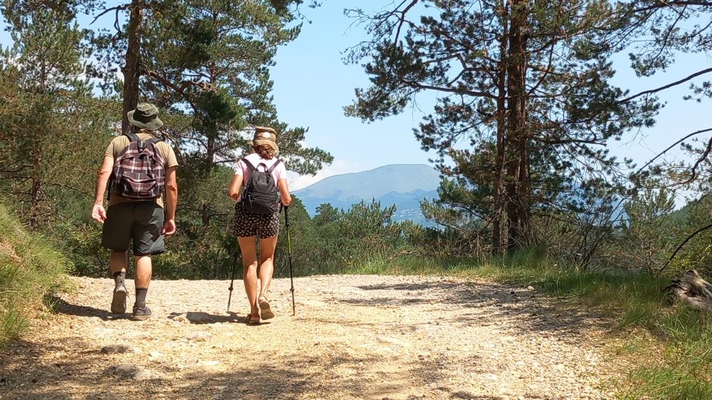 Puigcercós - Viladonja - Campdevànol