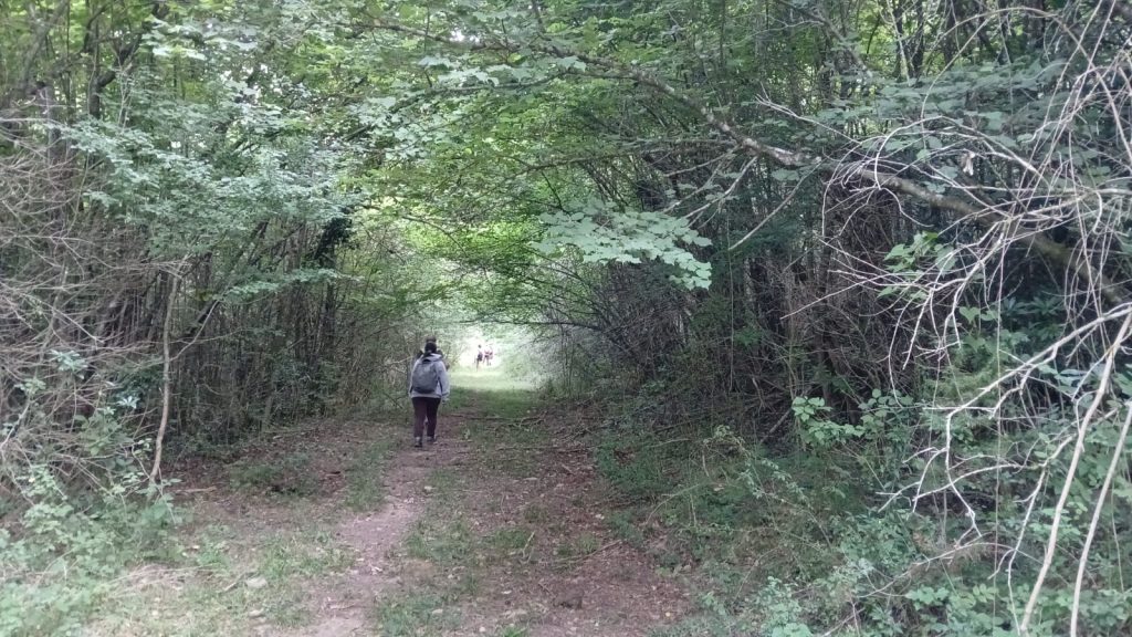 Puigcercós - Viladonja - Campdevànol