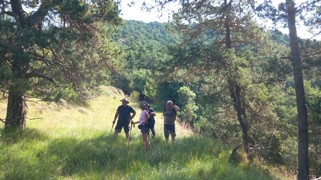 Puigcercós - Viladonja - Campdevànol