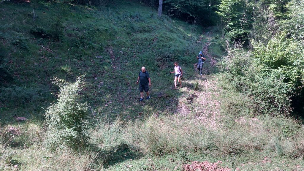 Puigcercós - Viladonja - Campdevànol