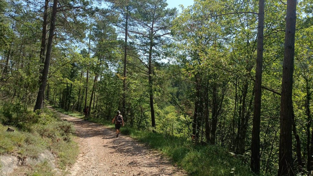Campdevànol - El Baell - Campelles - Planoles