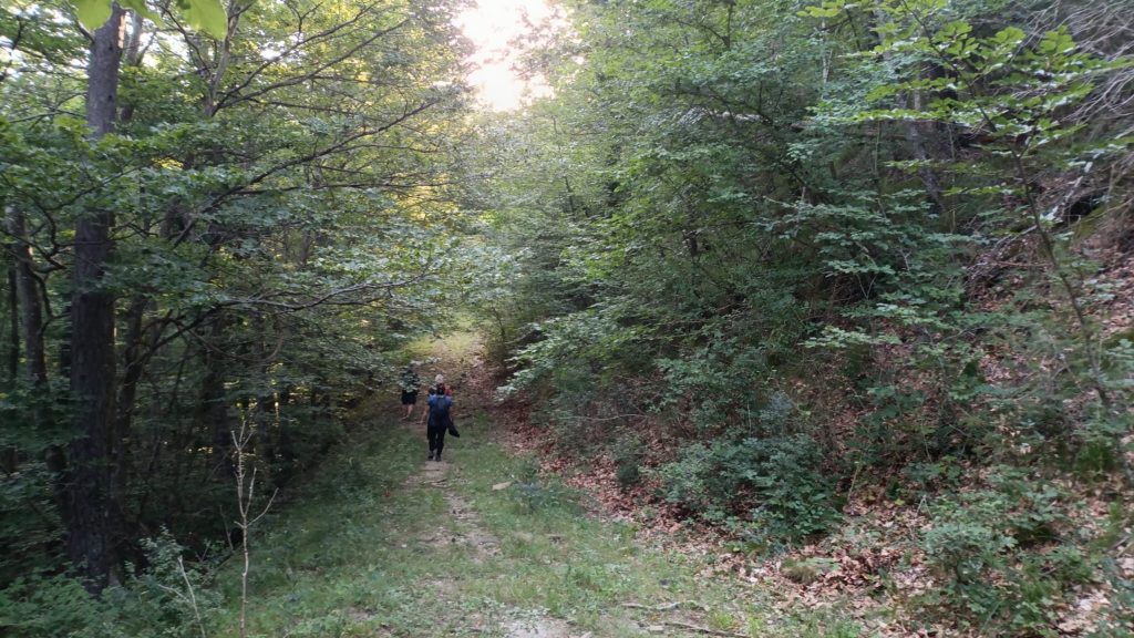 Campdevànol - El Baell - Campelles - Planoles