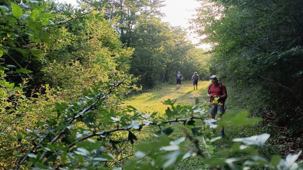 Campdevànol - El Baell - Campelles - Planoles