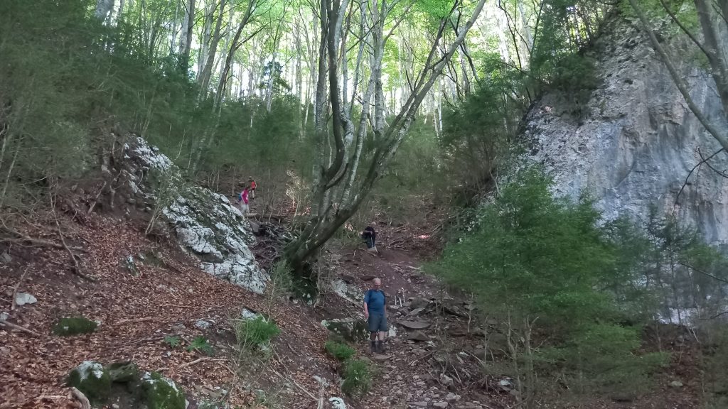 Campdevànol - El Baell - Campelles - Planoles